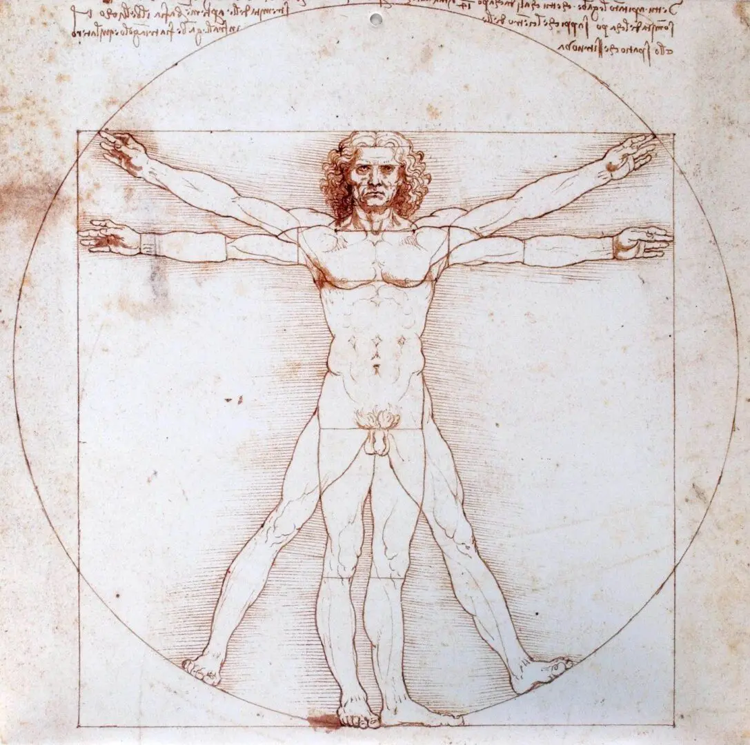 A drawing of the human figure in front of an image of the vitruvian man.